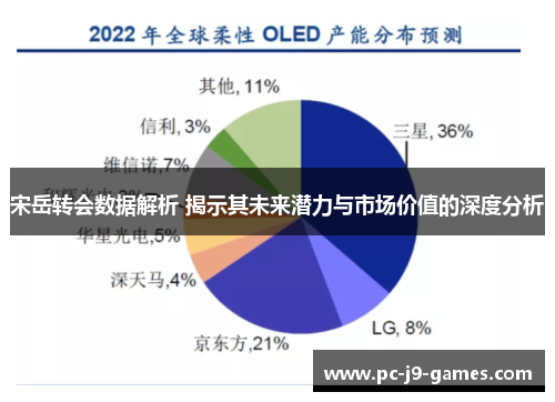 宋岳转会数据解析 揭示其未来潜力与市场价值的深度分析