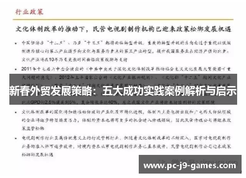 新春外贸发展策略：五大成功实践案例解析与启示