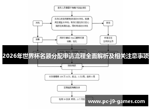 2026年世界杯名额分配申请流程全面解析及相关注意事项