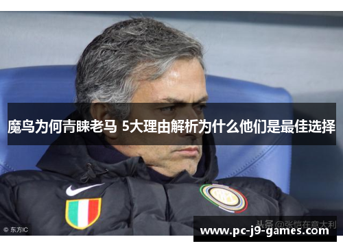 魔鸟为何青睐老马 5大理由解析为什么他们是最佳选择