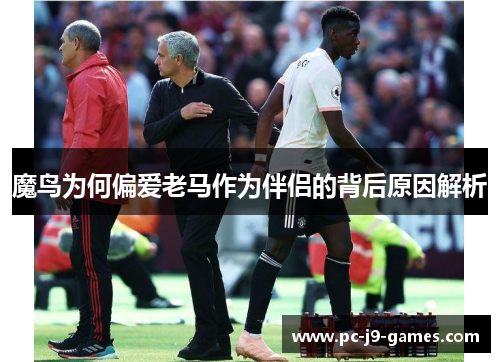 魔鸟为何偏爱老马作为伴侣的背后原因解析