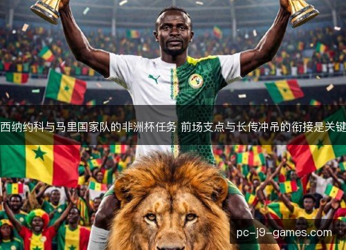 西纳约科与马里国家队的非洲杯任务 前场支点与长传冲吊的衔接是关键 西纳约科与马里国家队的非洲杯任务 前场支点与长传冲吊的衔接是关键